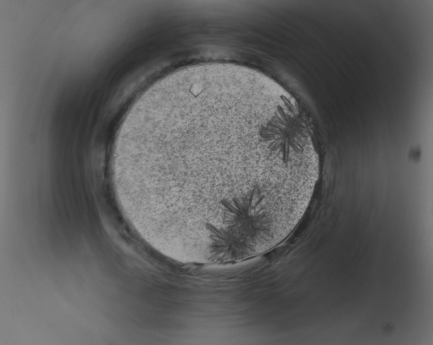 X0000115740722200912241646