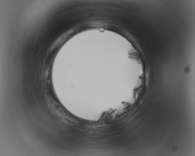 X0000115740723200912241646