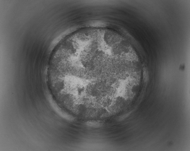 X0000115740725200912241646