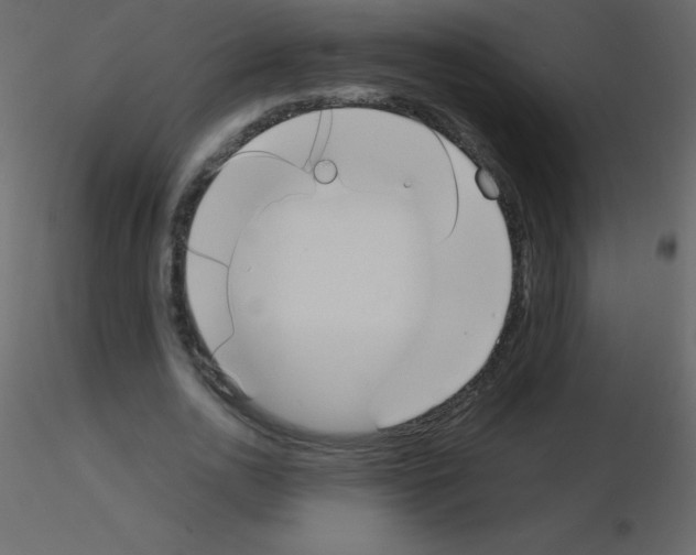 X0000115740726200912241646