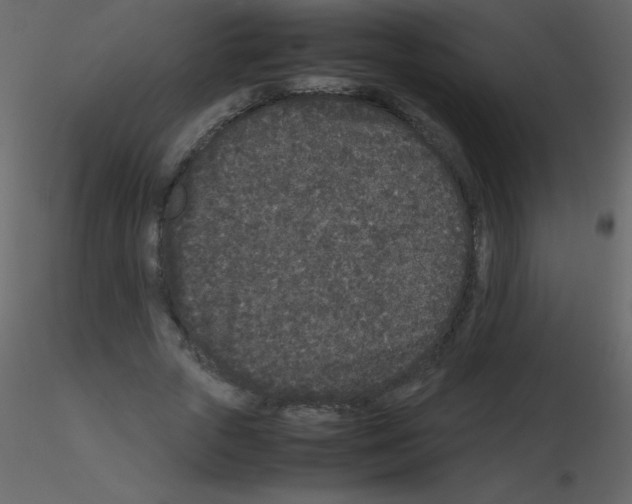 X0000115740729200912241646