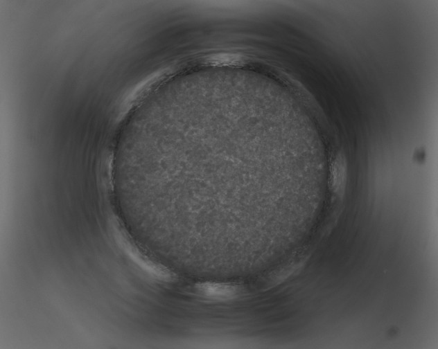 X0000115740733200912241646