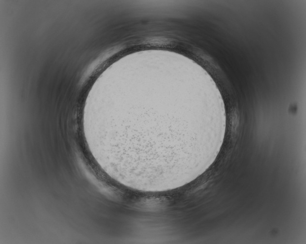 X0000115740734200912241646