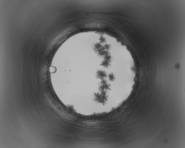 X0000115740735200912241646