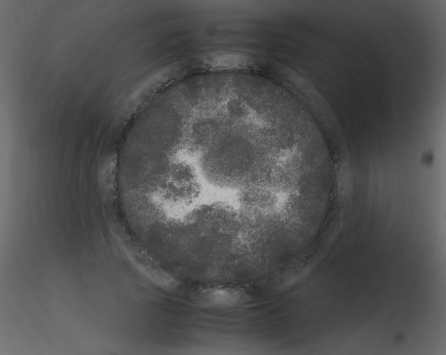 X0000115740737200912241647