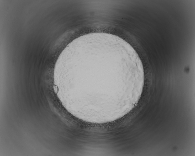 X0000115740738200912241647