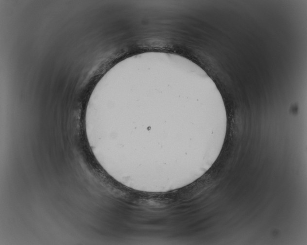 X0000115740739200912241647