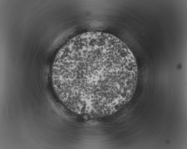 X0000115740742200912241647