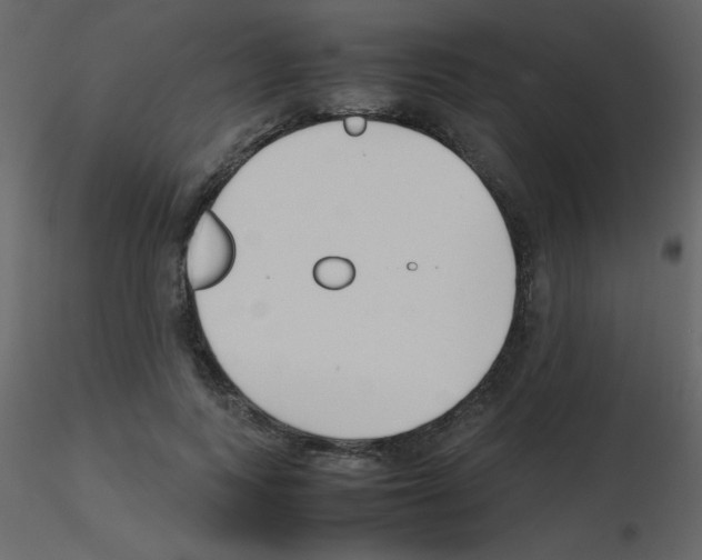 X0000115740743200912241647