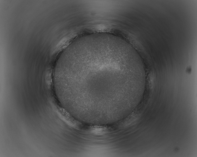 X0000115740746200912241647