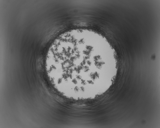 X0000115740747200912241647