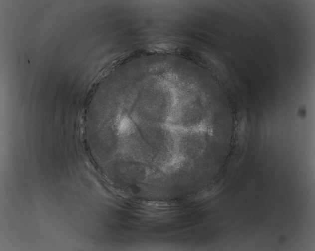 X0000115740749200912241647