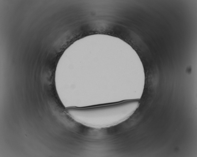 X0000115740750200912241647