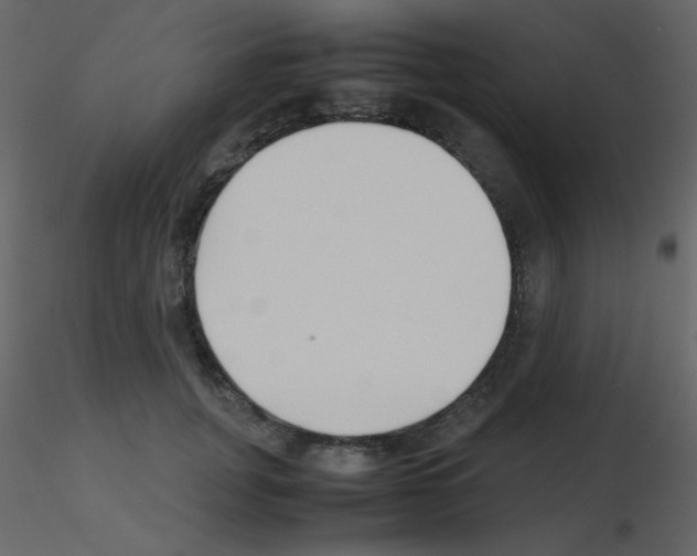 X0000115740751200912241647