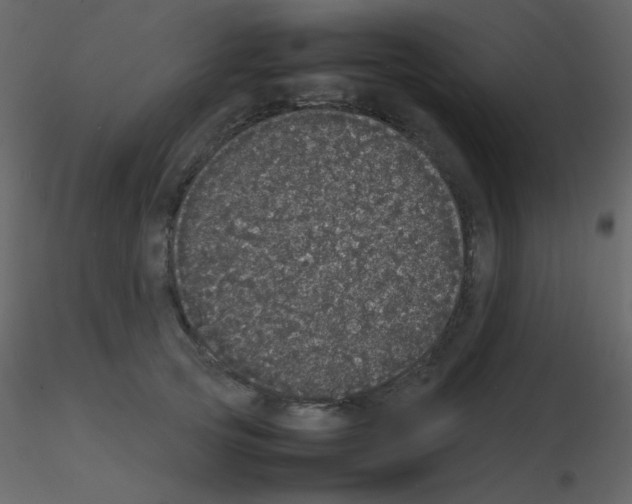 X0000115740753200912241647