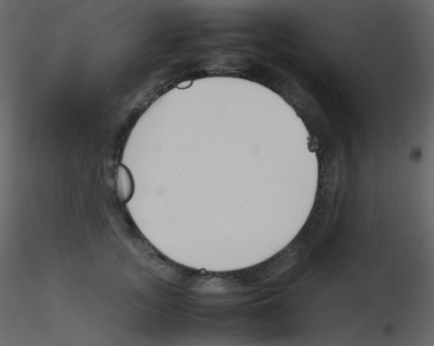 X0000115740755200912241647