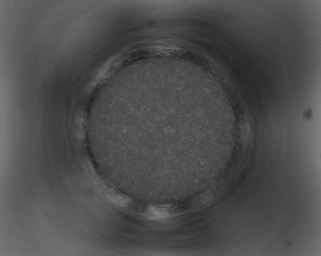 X0000115740757200912241647