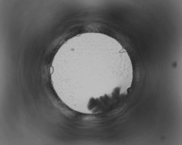 X0000115740759200912241647