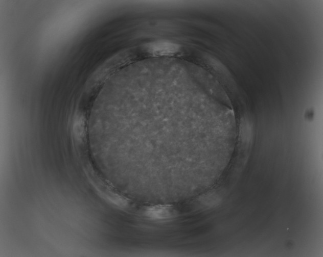 X0000115740761200912241647