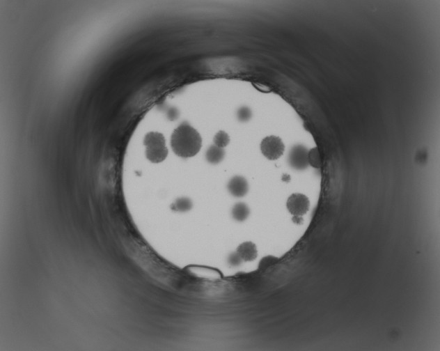 X0000115740762200912241647