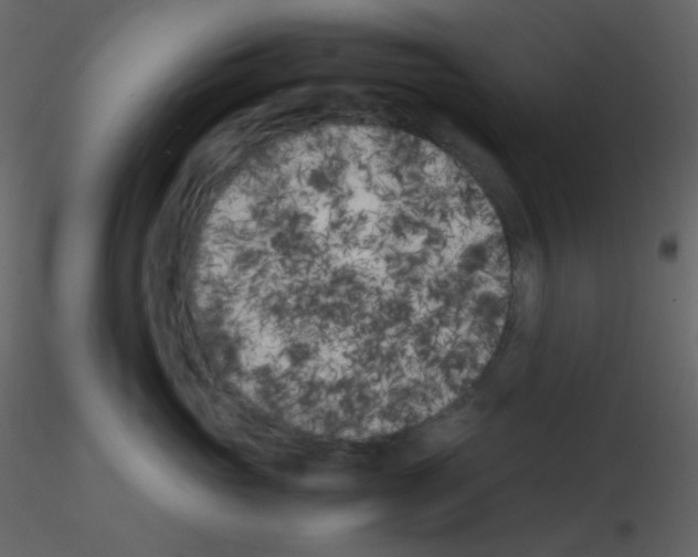 X0000115740765200912241647