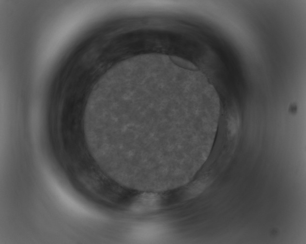 X0000115740766200912241647