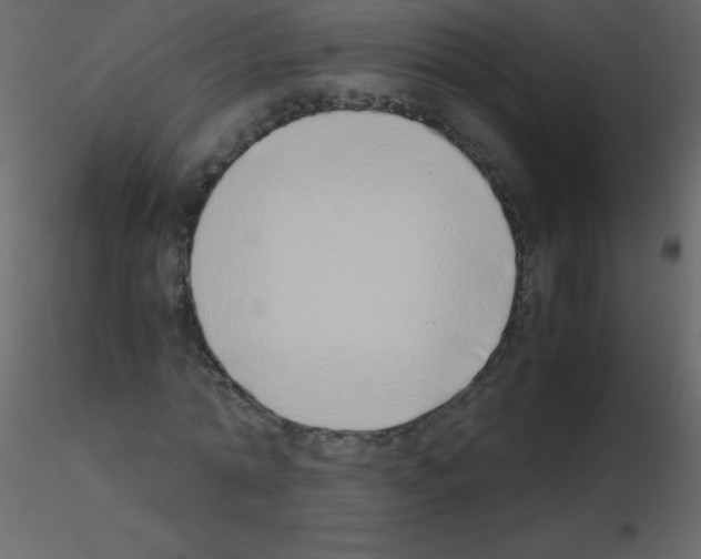 X0000115740774200912241646