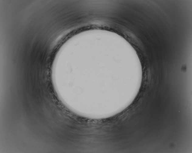 X0000115740776200912241646