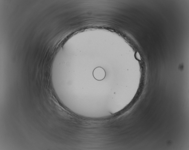 X0000115740777200912241646