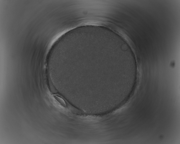 X0000115740779200912241646