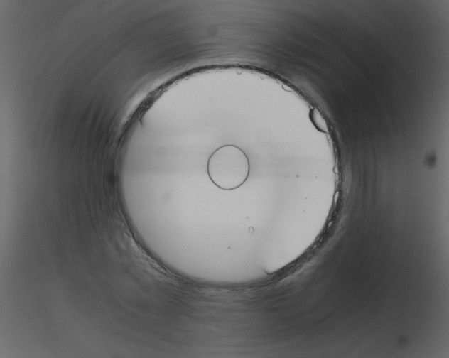 X0000115740781200912241646