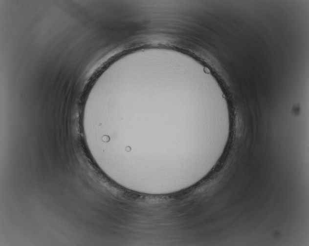 X0000115740782200912241646