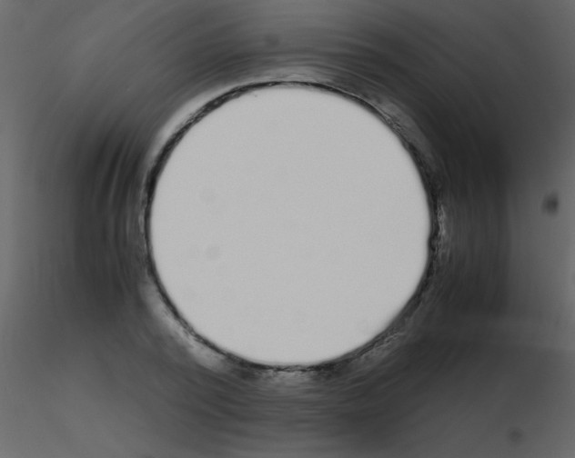 X0000115740784200912241646