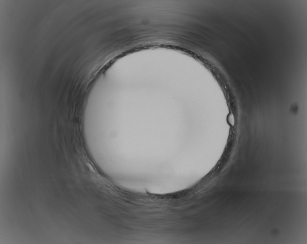 X0000115740785200912241646