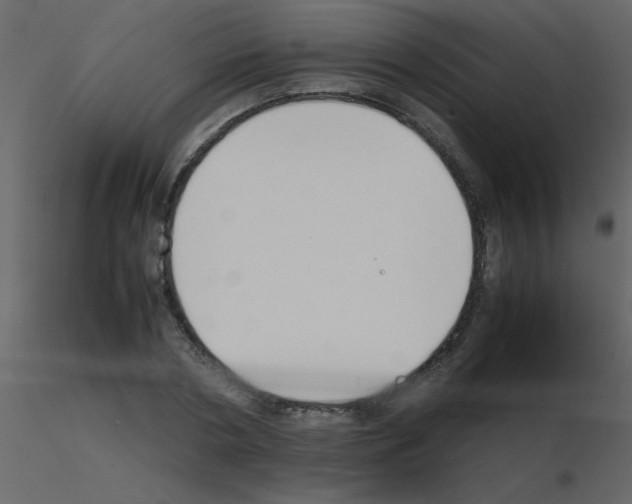 X0000115740786200912241646