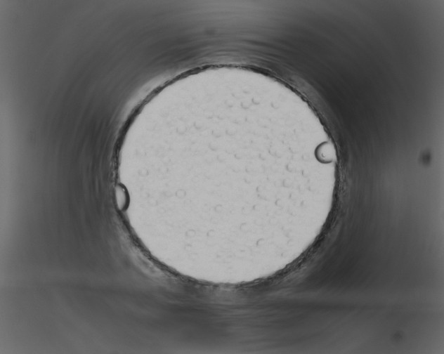 X0000115740787200912241646