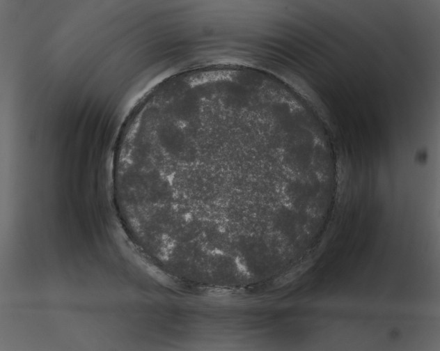 X0000115740790200912241646