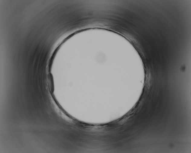 X0000115740792200912241646