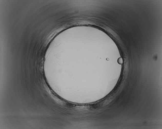 X0000115740793200912241646