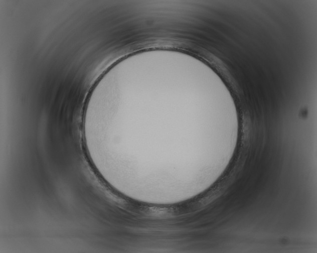 X0000115740794200912241646