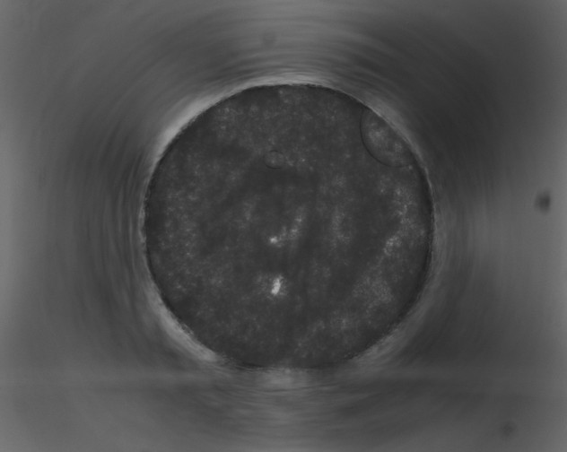 X0000115740797200912241646