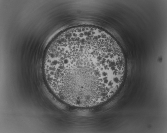 X0000115740798200912241646