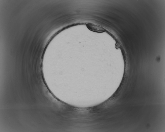 X0000115740799200912241646