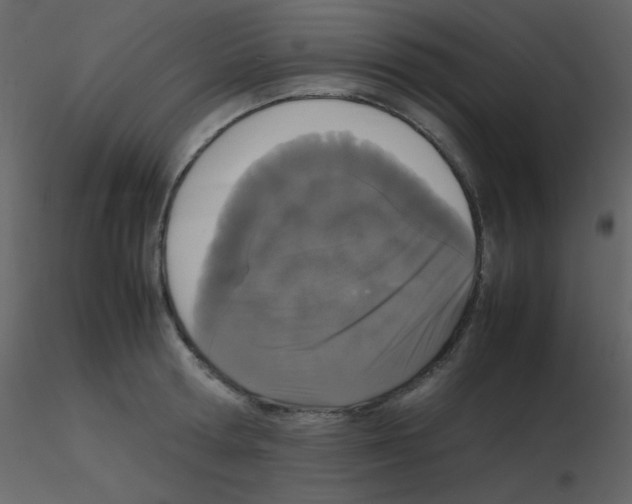 X0000115740802200912241646