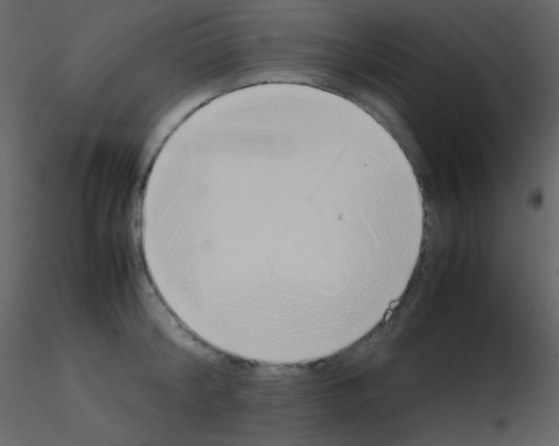 X0000115740804200912241646