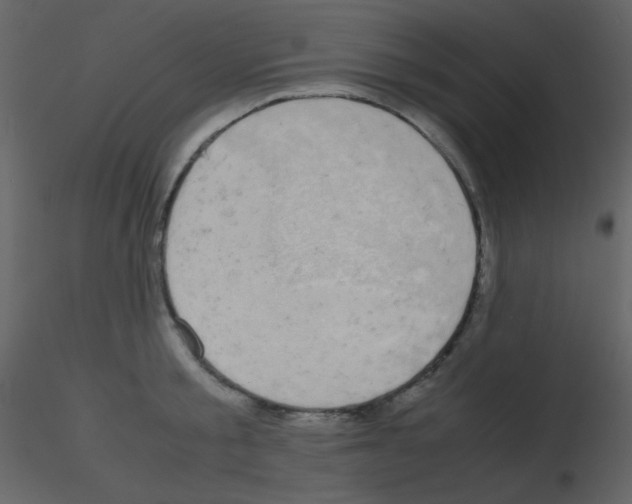 X0000115740805200912241646