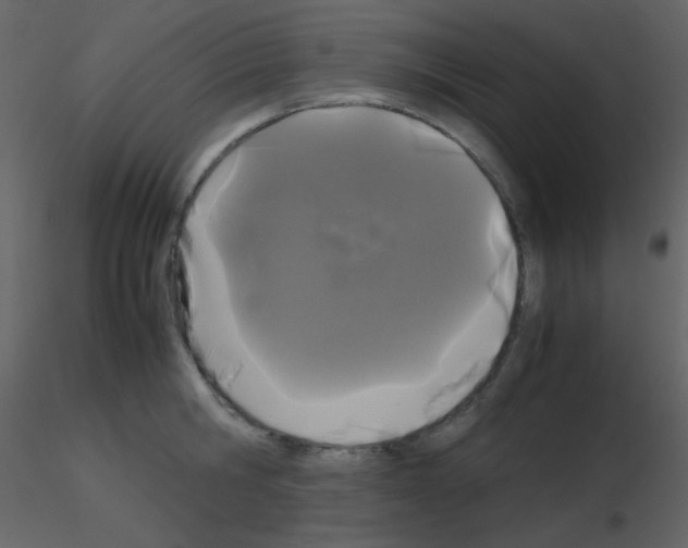 X0000115740806200912241646