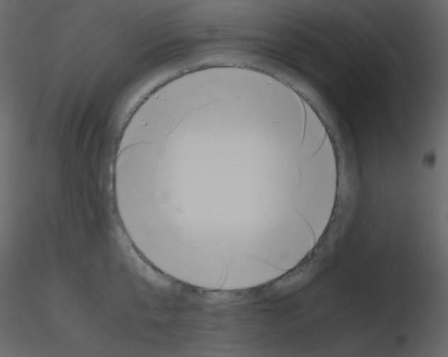 X0000115740807200912241646