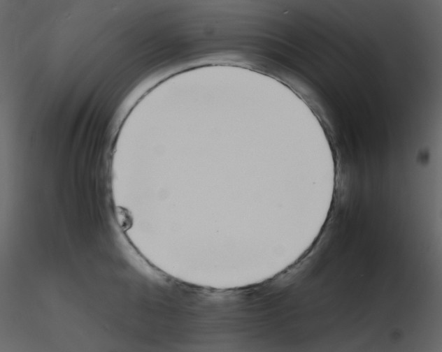 X0000115740808200912241646