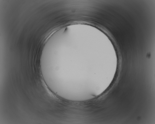 X0000115740809200912241646